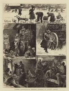 Orticultura, un viaggio invernale a Covent Garden da William Bazett Murray